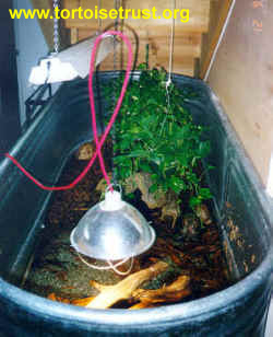Sztuczne zbiorniki dla żółwi wodno-lądowych