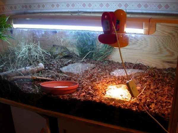 Terrarium żółwia stepowego